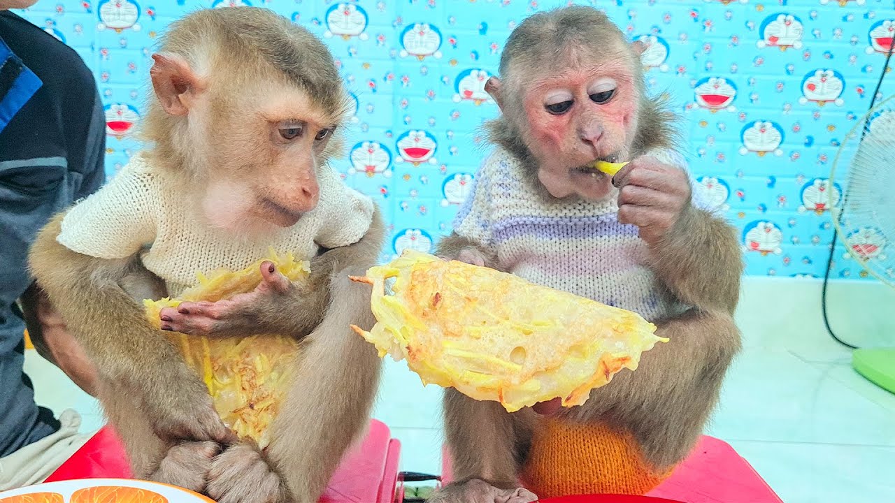 Monkey baby smart enjoy delicious cake
