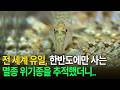 대한민국에만 존재한다? 전 세계 유일, 멸종 위기종 '미호종개'를 마주한 순간 [환경스페셜-최초 생태보고, 미호종개] / KBS 20071024 방송