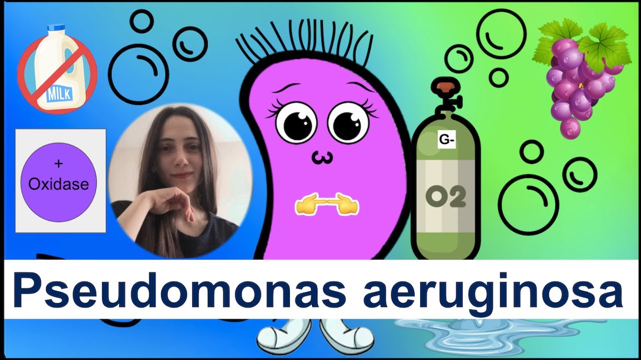 Pseudomonas aeruginosa: Important points you need to know!