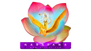 Shuddha Ekadashi (Android App) screenshot 5