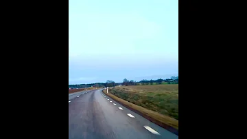 اسوارت العروس لحامل عكتافه زيتون 