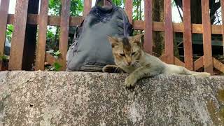 UMAR IKKIS | Official Teaser | BAR'CODE | Suyashhhhhhh