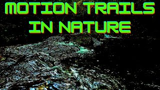Nature – Motion Extraction