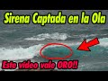 Grabo el CANTO de 2 SIRENAS 2021 Parte 197