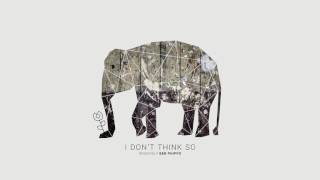 Watch Ben Phipps I Dont Think So video