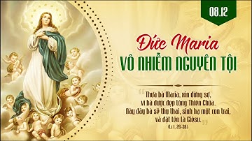 Mẹ Vô Nhiễm Nguyên Tội 08/12