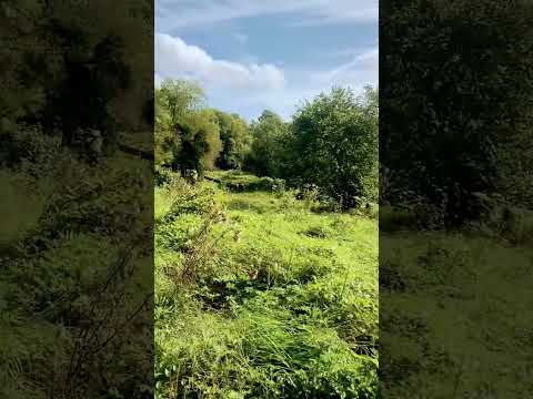 Somersetshire Coal Canal