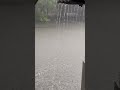 মুষলধারে বৃষ্টি #বৃষ্টি
