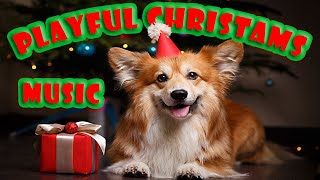 Playful Christmas Music for Dogs to Have Fun and Relax!  Playful Christmas Dog Music for Playtime!