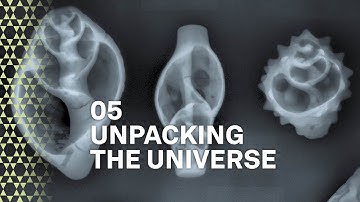 The magic of shells | Making of the exhibition "More Than Gold" pt. 5 | Unpacking the Universe