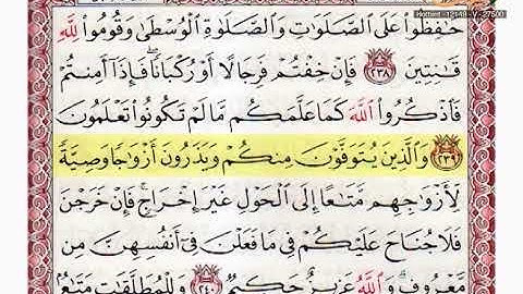 القارئ مازن الخالدي ـ ترتيل صفحة 39