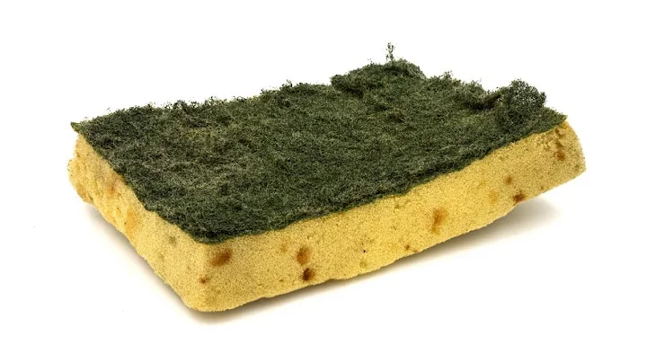 Kitchen Sponge Has More Germs Than a Toilet?!
