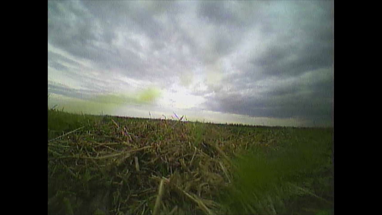 Kingkong FLY EGG 100 первые потуги