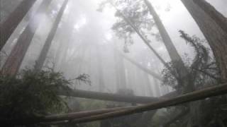 Watch Emperor The Wanderer video