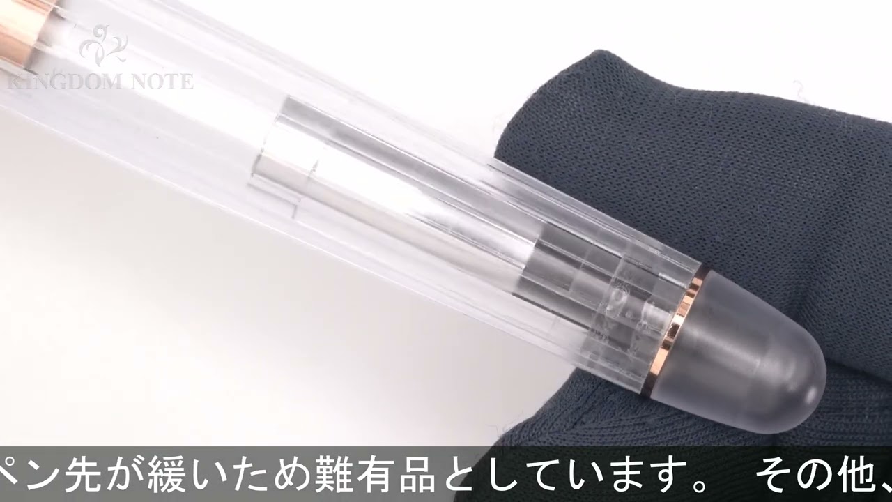 PLATINUM プラチナ 万年筆 #3776 センチュリー NICE(ニース) ロゼ 細字