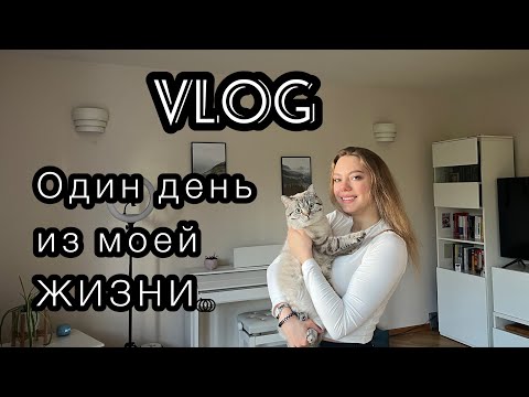 VLOG /покупка машины / интуитивное питание это вред / как выглядят отношения длиною в 7 лет
