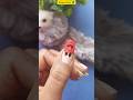 simple nail art designs at home for small nails#nailart #viralshorts