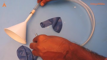 Stethoscope Model I Biology Experiment I Make Your Own Lab Series