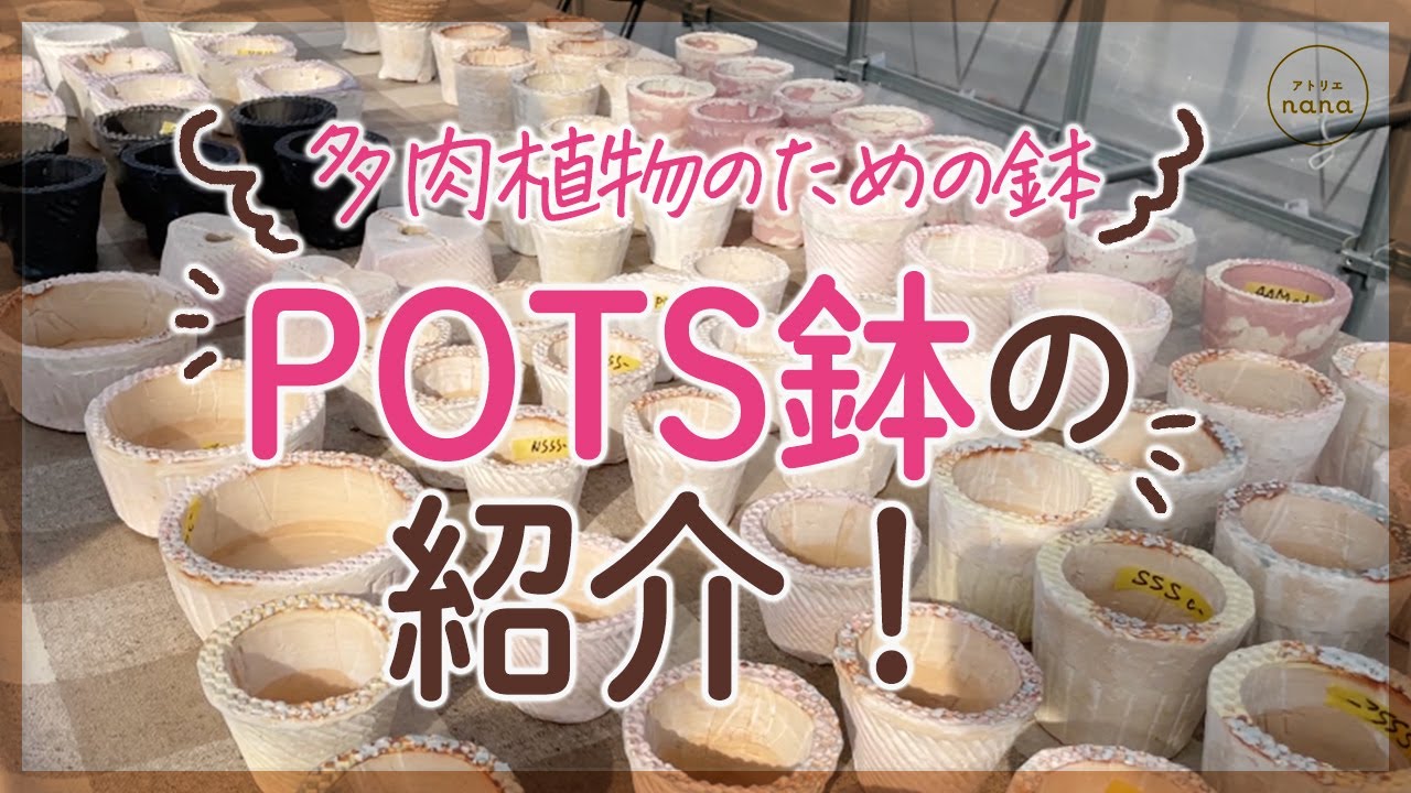 多肉植物】通気性のいいPOTS鉢のご紹介 - YouTube