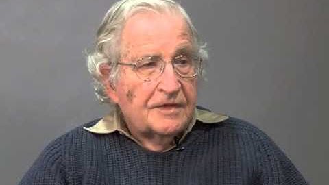 Noam Chomsky on connectomics