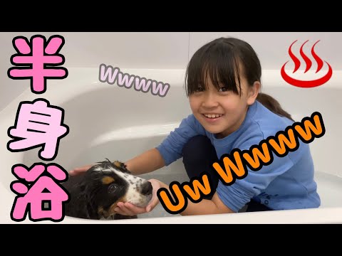 【お風呂】娘と入浴♨️子犬の日常！【3ヶ月】大型犬