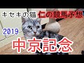 中京記念2019　キセキの猫仁の競馬予想