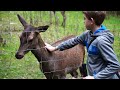 80 Besuch im Wildpark Warstein & Jesus und die Frau am Jahkobsbrunnen