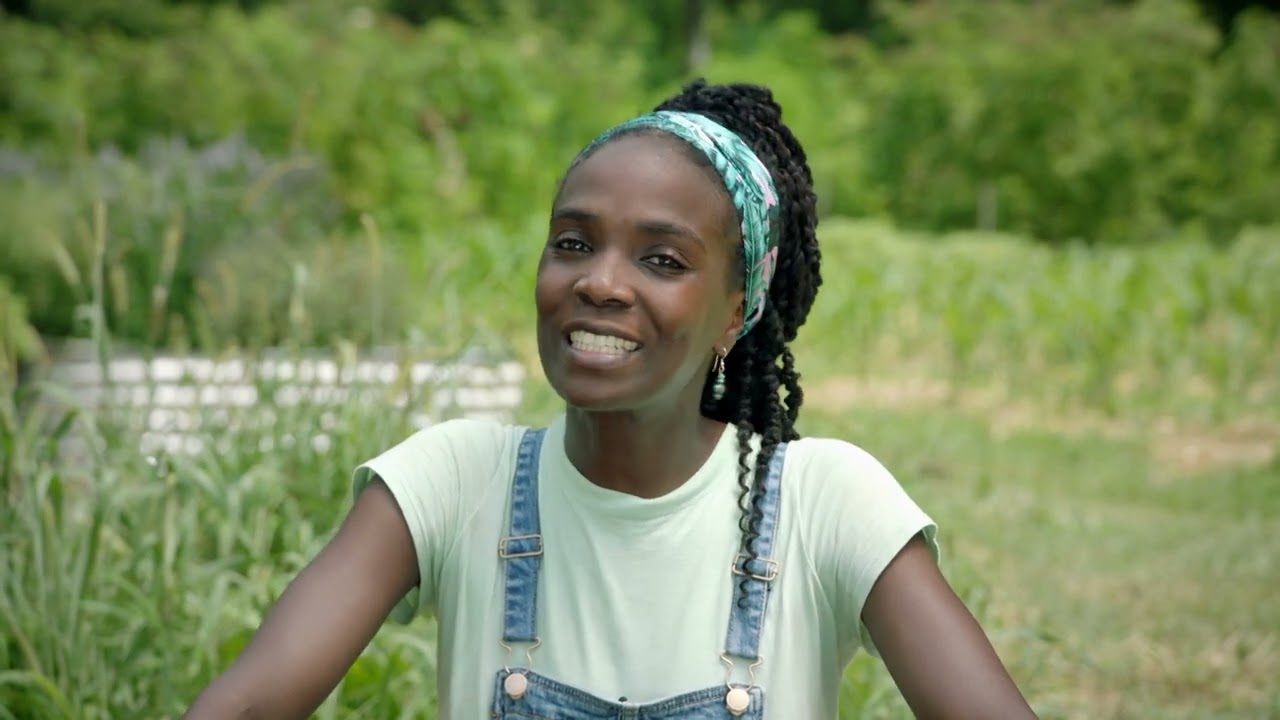 30 Day Harvest Vegetables and Herbs— Baby Kale