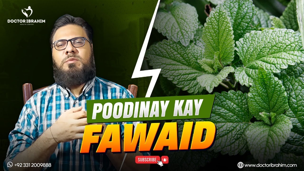 Podinay Ki Jadui Taqat | Gas, Acidity Aur Badbu Ka Hal Dr Ibrahim Herbalist |  7 Kamal Ke Fayde