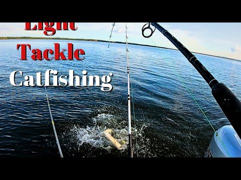 Catfishing With Light Tackle 