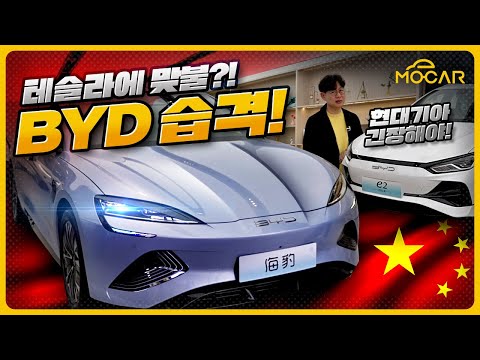 공포의 중국차 4 BYD 전기차 1700만원 