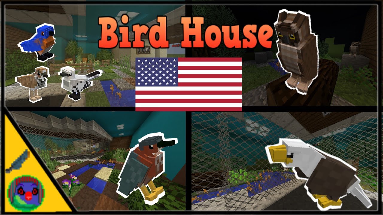 Birds of America Bird House Minecraft YouTube