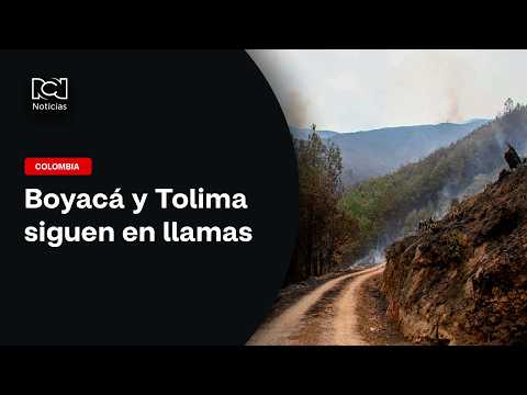 Incendios en Tolima y Boyacá han arrasado miles de hectáreas y dejan cientos de familias afectadas