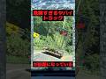 危険すぎるヤバイトラックが話題になっている#トラック #車 #shorts