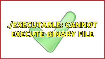 Unix & Linux: ./executable: cannot execute binary file (2 Solutions!!)