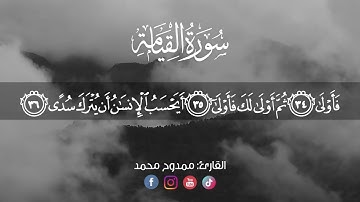 تلاوه هادئه من سورة القيامة | ممدوح محمد