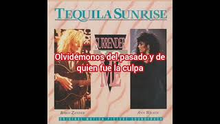 Ann Wilson & Robin Zander - Surrender To Me (Sub Español) 1988