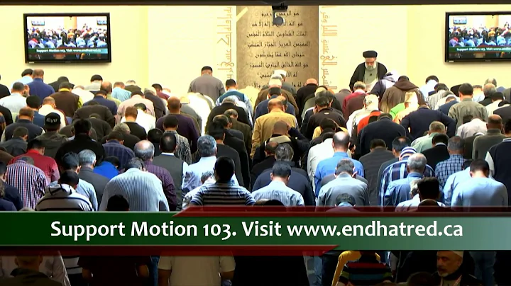 Ending Islamophobia; Freedom of Expression; Motion 103 - Maulana Syed Muhammad Rizvi