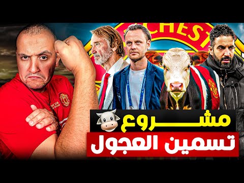 مشروع مانشستر يونايتد وتسمين العجول