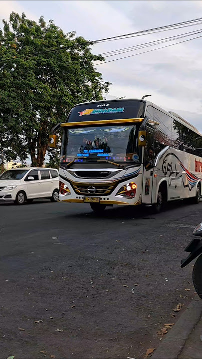 Stecu Stecu 12 Not #bus #telolet #basuri #fyp #12not  #shorts