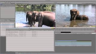 Learn Media Composer Lesson 29: Media Management/Media Tool