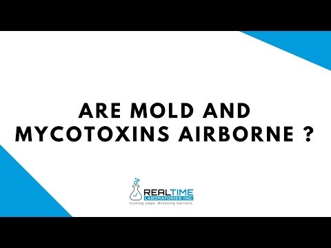 Video: Mapanganib ba ang airborne mold?