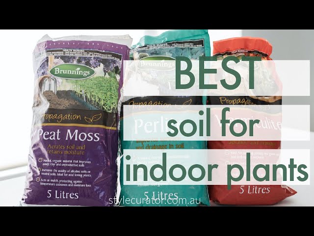 Best Soil For Indoor Plants (DIY Guide) - Growfully