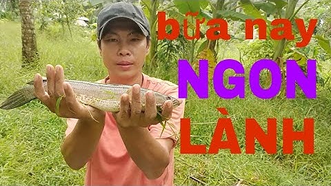 câu cá lóc bằng vịt sáng ra thấy được bầy lòng rồng quá đã luôn, @NI NGUYỄN TV #95