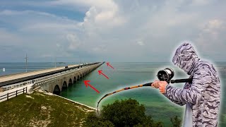 Florida Keys Bridge Fishing Adventure: Using Big Bait to Catch Huge Fish