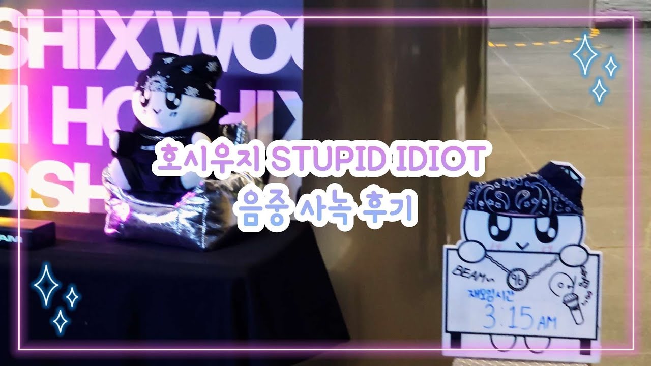 [캐럿로그] 음신 이후 간만에 당첨🥹🥹 | 호시x우지 STUPID IDIOT 음중 사녹 후기