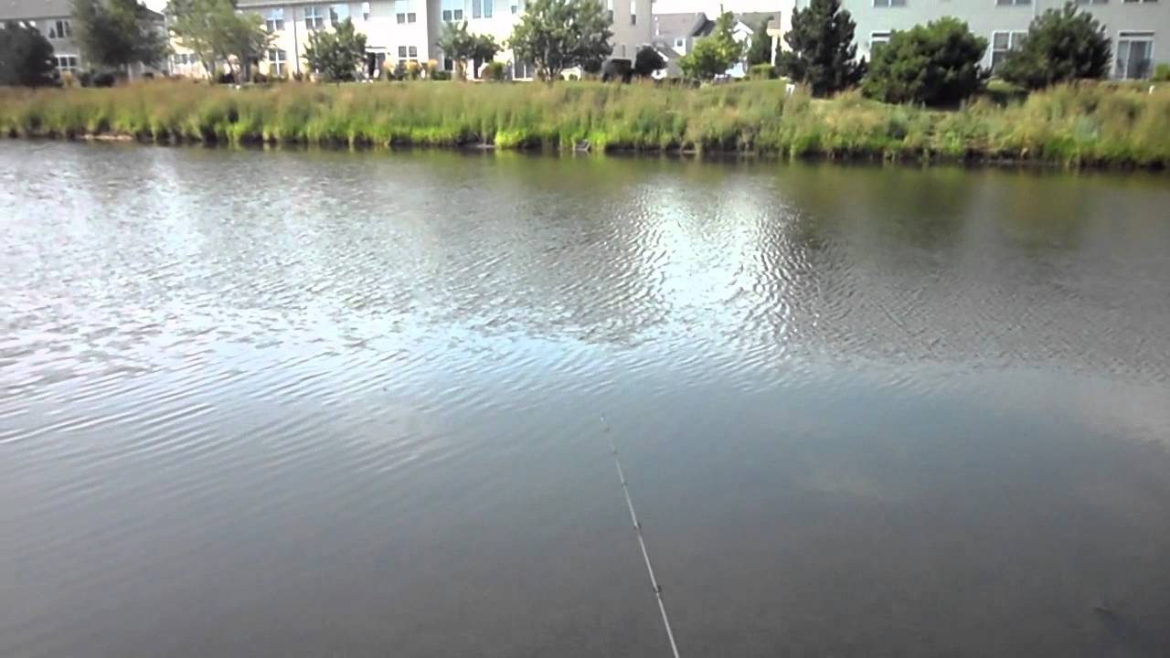 862011 Berkley Power Worm. Bass fishing Plainfield, IL