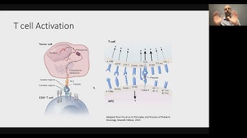 CAR T-Cells and Cancer Immunogenetics—Towards Personalized Therapies | Drs. Smith and Fry