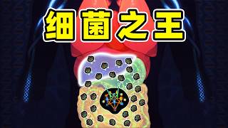 一定要让人类灭绝！