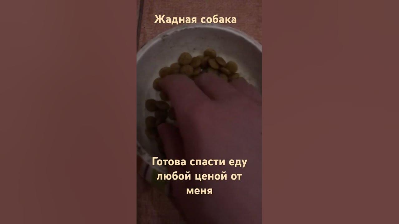 Жадина#говядина# - YouTube